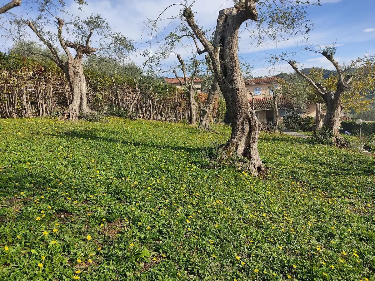 Holiday home La Tana Del Geco Villa Massarosa