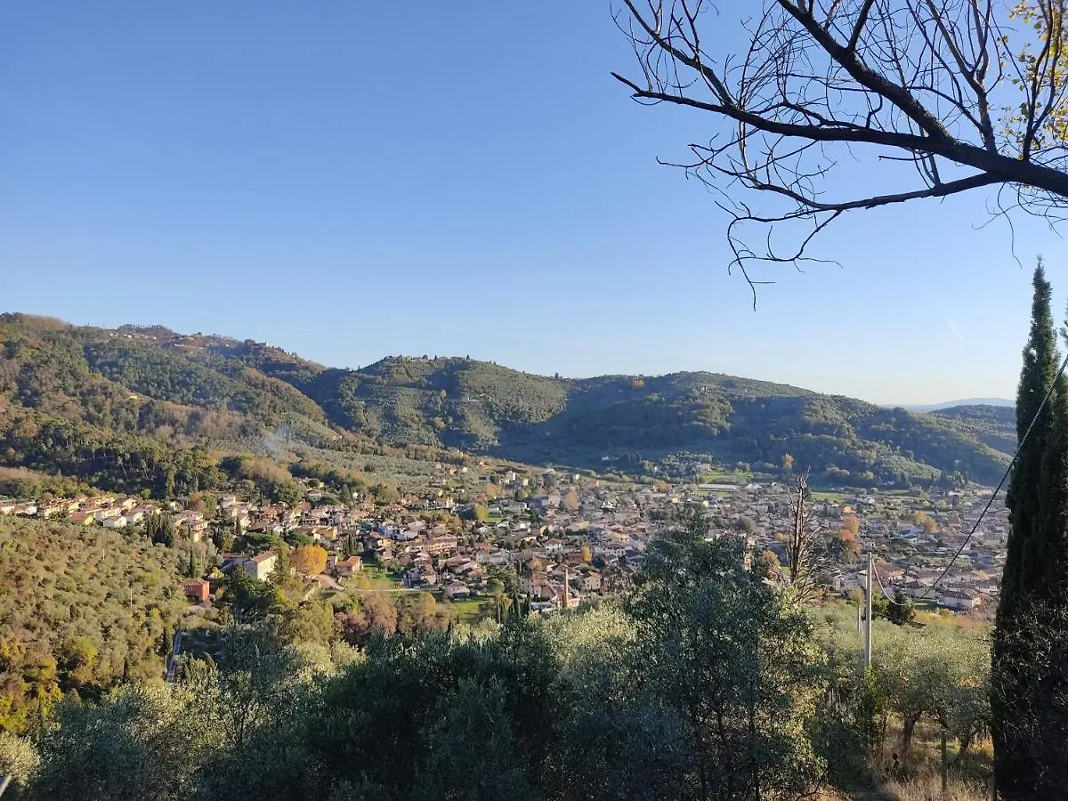 La Tana Del Geco Villa Massarosa 0*,