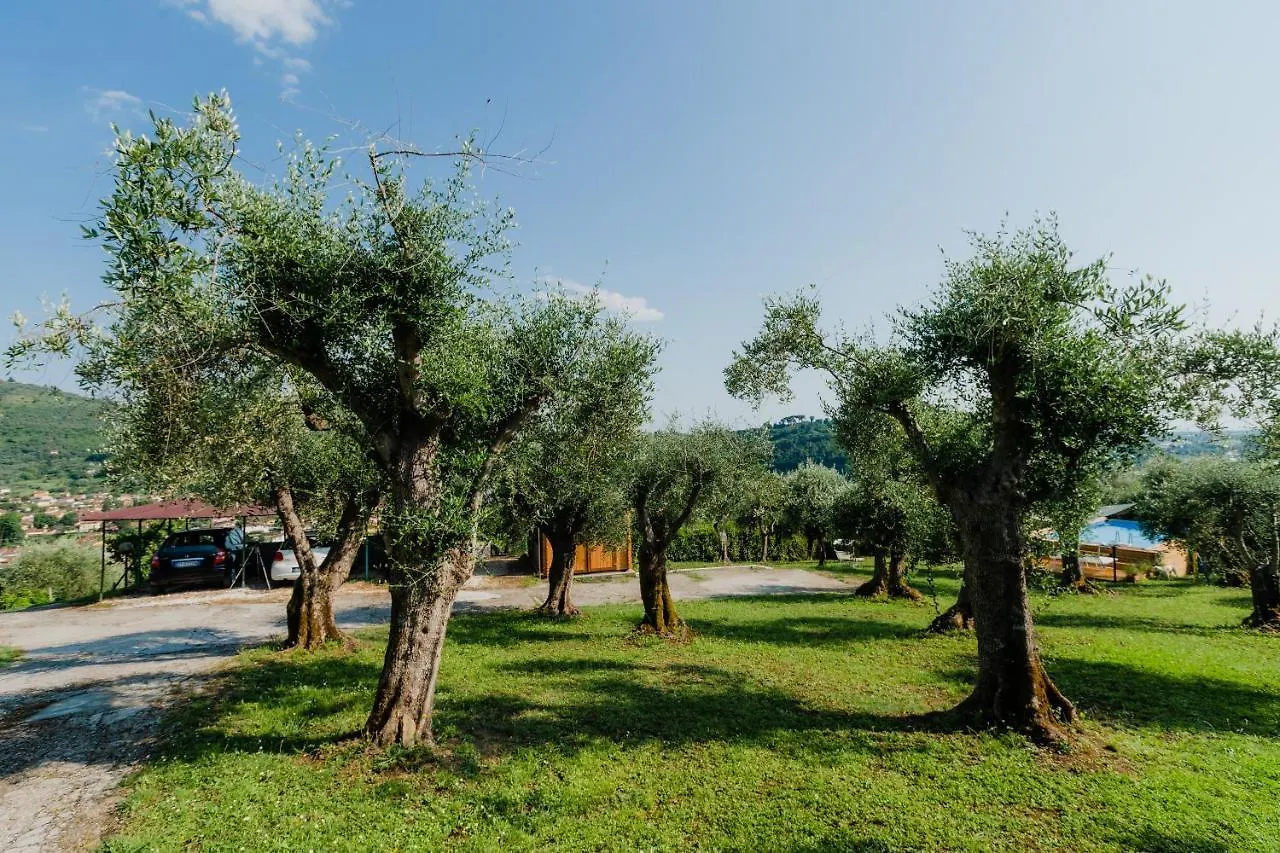 La Tana Del Geco Villa Massarosa Holiday home