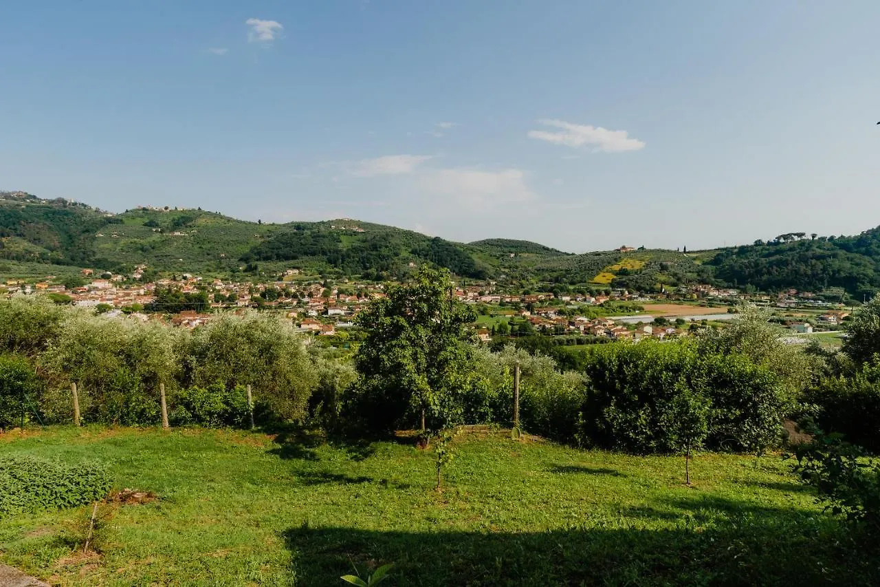 La Tana Del Geco Villa Massarosa