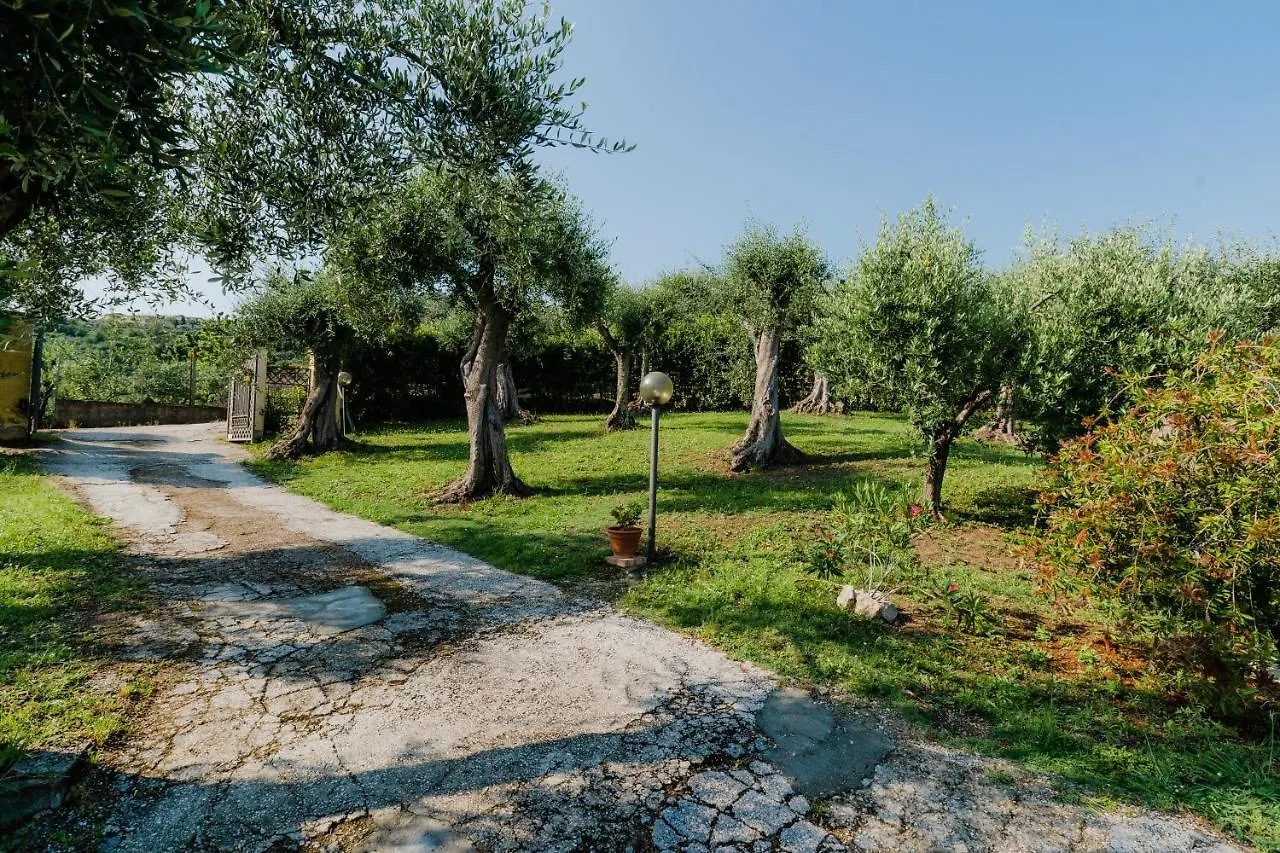 Holiday home La Tana Del Geco Villa Massarosa